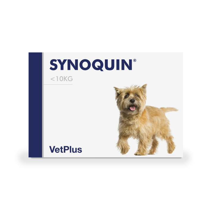 Synoquin EFA Small tabl 30 kpl